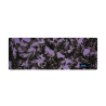 Fantaisie Violet - 0193FA - Acétate labo 4mm