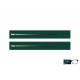 Temples Green Transparent - 0225TRB
