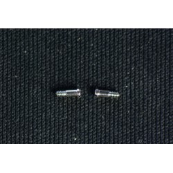 Screws For Flex Hinges