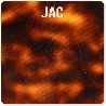 Brown Scale - 0011EC - Acetate strip 4mm
