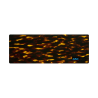 Ecaille Orange - 0161EC - Acétate bande 6mm