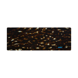 Ecaille Bleue - 0163EC - Acétate bande 4mm