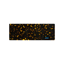 Ecaille Orange - 0171EC - Acétate bande 6mm
